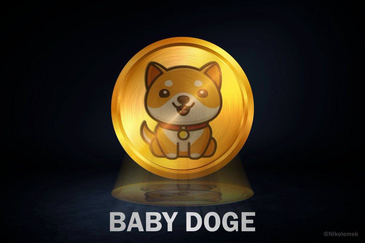 Doge coin baby Wallet for
