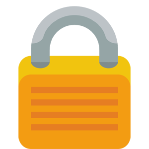 internet veiligheid- HTTPS of SSL verbinding