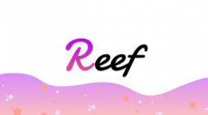 reef finance